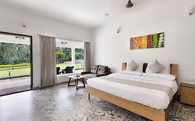 Tusker Trail By Luxunlock